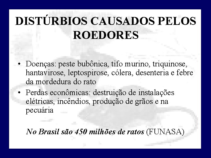 DISTÚRBIOS CAUSADOS PELOS ROEDORES • Doenças: peste bubônica, tifo murino, triquinose, hantavirose, leptospirose, cólera,