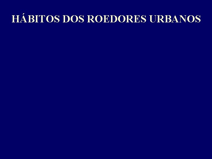 HÁBITOS DOS ROEDORES URBANOS 