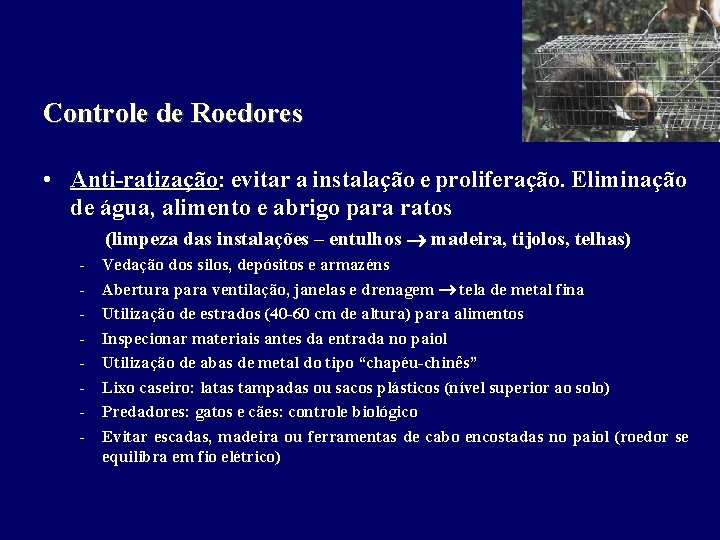 Controle de Roedores • Anti-ratização: evitar a instalação e proliferação. Eliminação de água, alimento