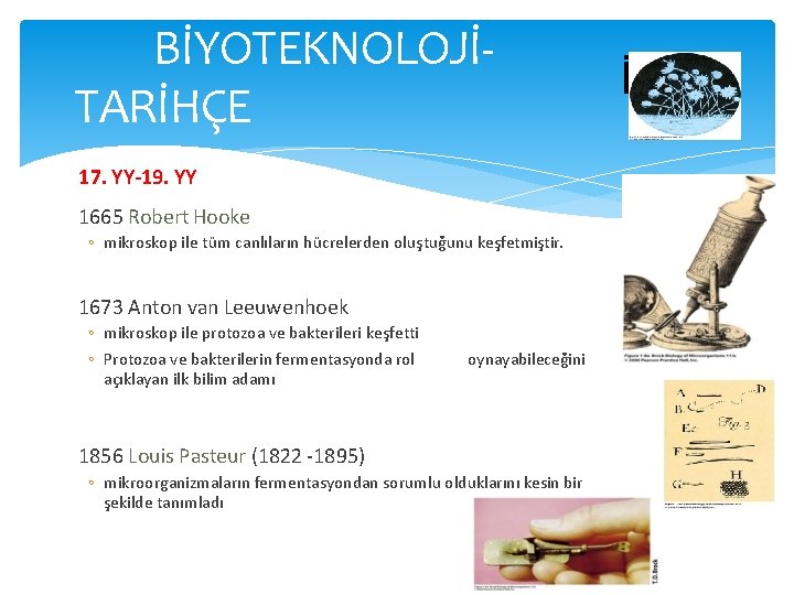 BİYOTEKNOLOJİTARİHÇE İHİ 17. YY-19. YY 1665 Robert Hooke ◦ mikroskop ile tüm canlıların hücrelerden