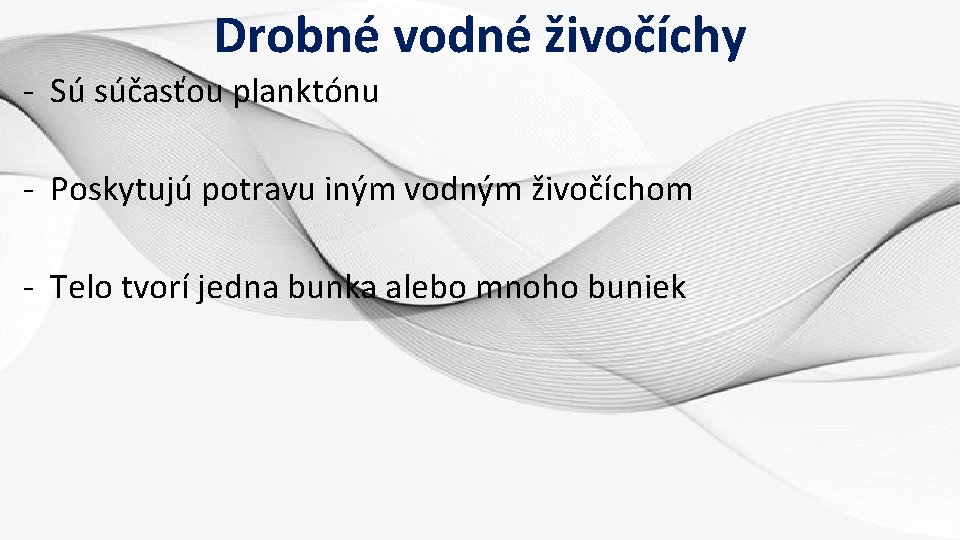 Drobné vodné živočíchy - Sú súčasťou planktónu - Poskytujú potravu iným vodným živočíchom -