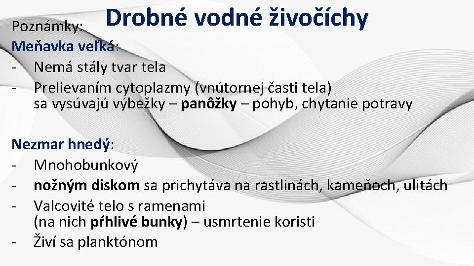 Drobné vodné živočíchy Poznámky: Meňavka veľká: - Nemá stály tvar tela - Prelievaním cytoplazmy