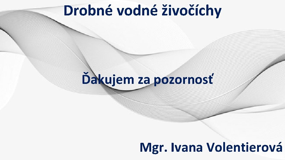 Drobné vodné živočíchy Ďakujem za pozornosť Mgr. Ivana Volentierová 