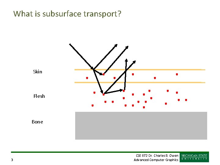 What is subsurface transport? Skin Flesh Bone 3 CSE 872 Dr. Charles B. Owen