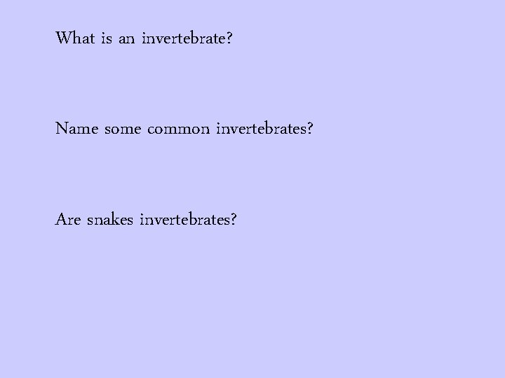What is an invertebrate? Name some common invertebrates? Are snakes invertebrates? 
