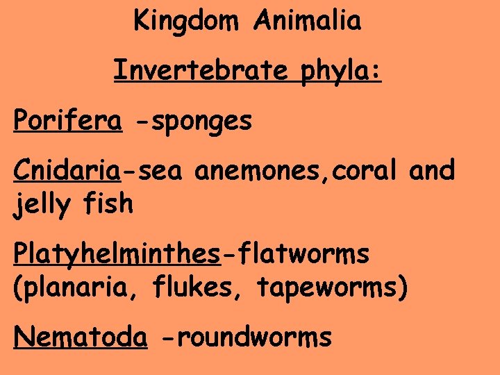 Kingdom Animalia Invertebrate phyla: Porifera -sponges Cnidaria-sea anemones, coral and jelly fish Platyhelminthes-flatworms (planaria,