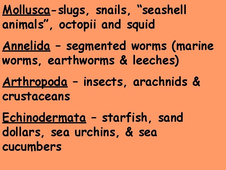 Mollusca-slugs, snails, “seashell animals”, octopii and squid Annelida – segmented worms (marine worms, earthworms