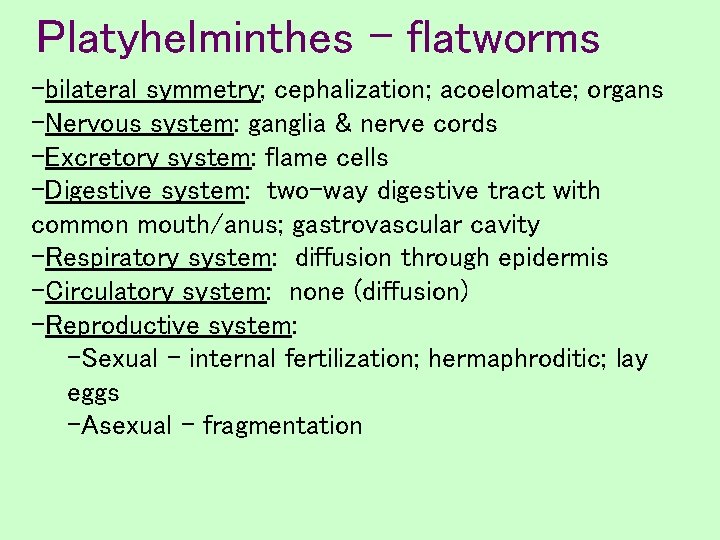 Platyhelminthes - flatworms -bilateral symmetry; cephalization; acoelomate; organs -Nervous system: ganglia & nerve cords