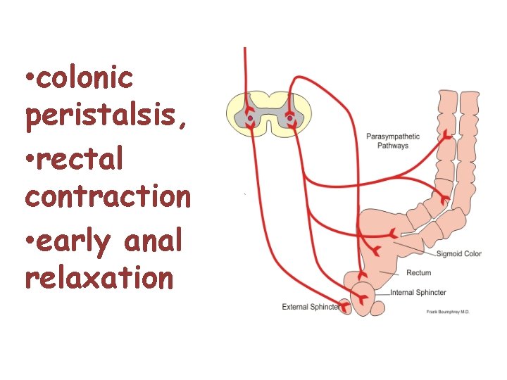  • colonic peristalsis, • rectal contraction • early anal relaxation 