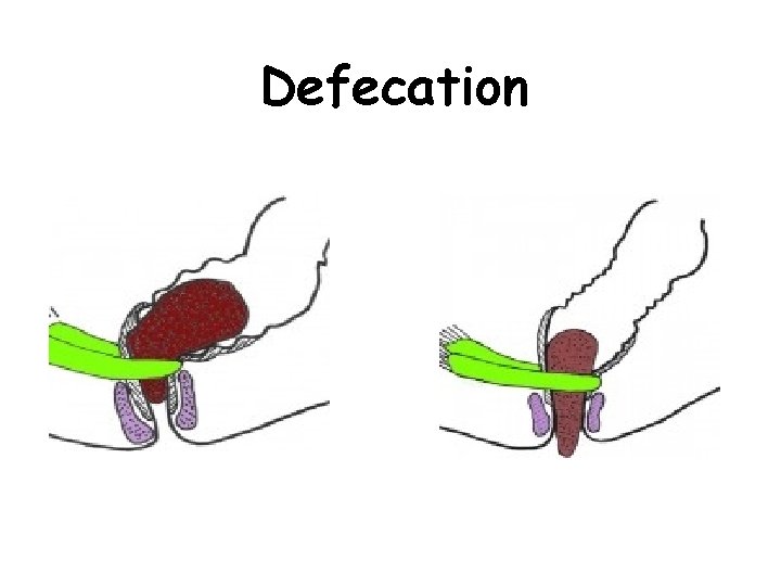 Defecation 