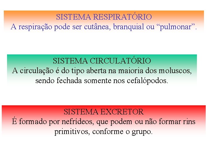 SISTEMA RESPIRATÓRIO A respiração pode ser cutânea, branquial ou “pulmonar”. SISTEMA CIRCULATÓRIO A circulação