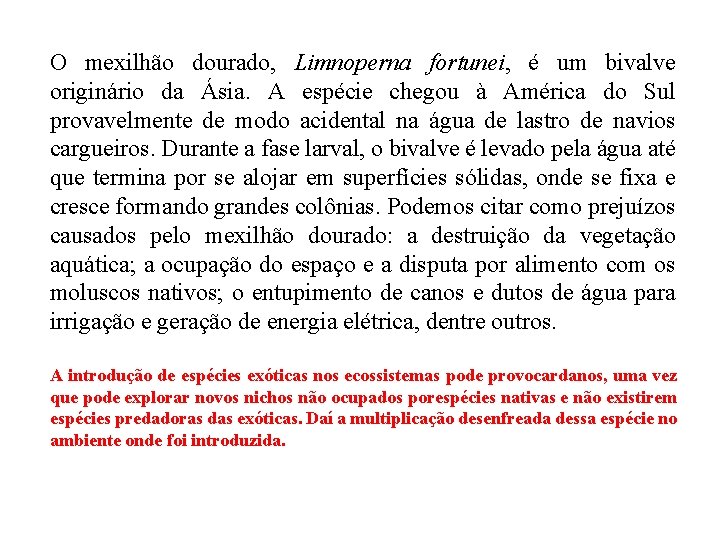 O mexilhão dourado, Limnoperna fortunei, é um bivalve originário da Ásia. A espécie chegou