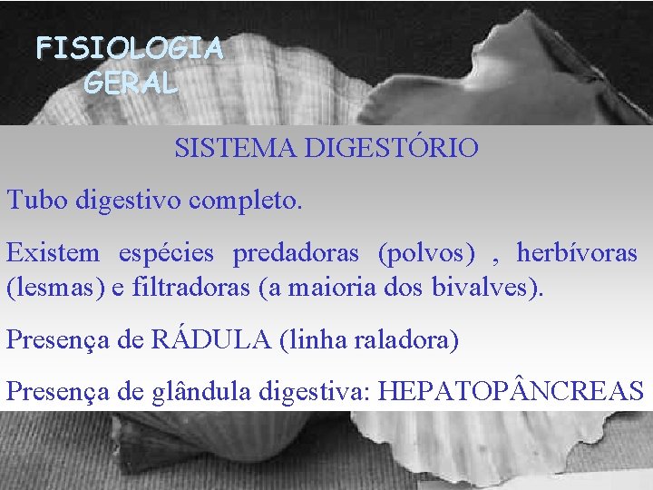 FISIOLOGIA GERAL SISTEMA DIGESTÓRIO Tubo digestivo completo. Existem espécies predadoras (polvos) , herbívoras (lesmas)