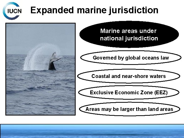 Expanded marine jurisdiction Marine areas under national jurisdiction Governed by global oceans law Coastal