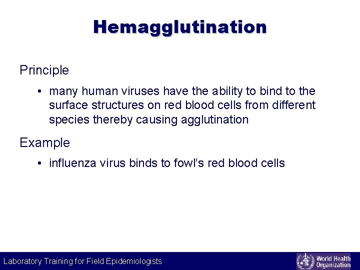 Hemagglutination Principle • many human viruses have the ability to bind to the surface