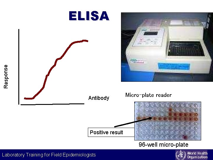 Response ELISA Antibody Micro-plate reader Positive result 96 -well micro-plate Laboratory Training for Field