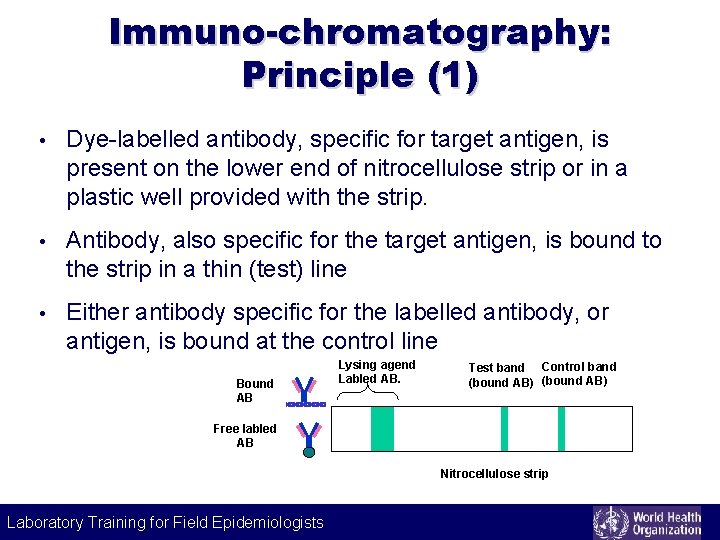 Immuno-chromatography: Principle (1) • Dye-labelled antibody, specific for target antigen, is present on the