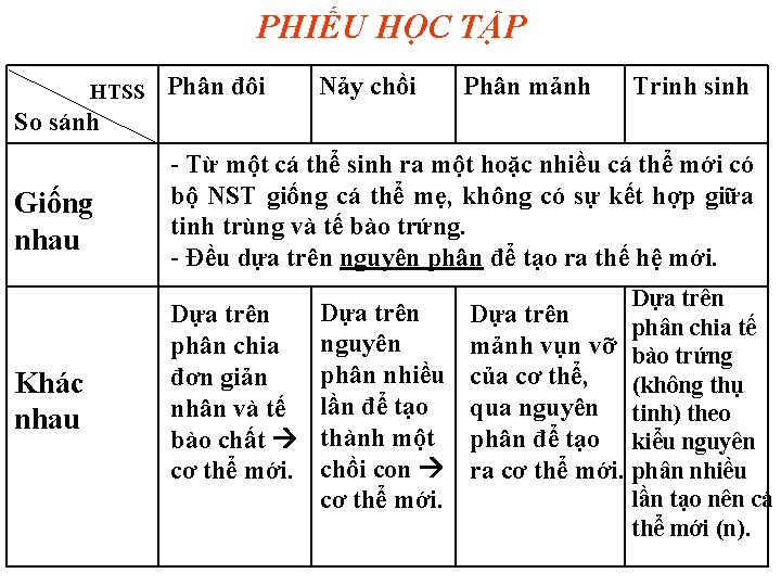 PHIẾU HỌC TẬP HTSS Phân đôi Nảy chồi Phân mảnh Trinh sinh So sánh