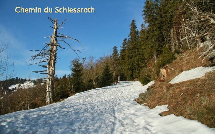 Chemin du Schiessroth 