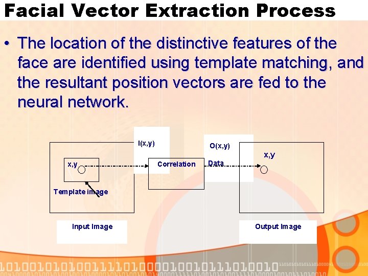 Facial Vector Extraction Process • The location of the distinctive features of the face