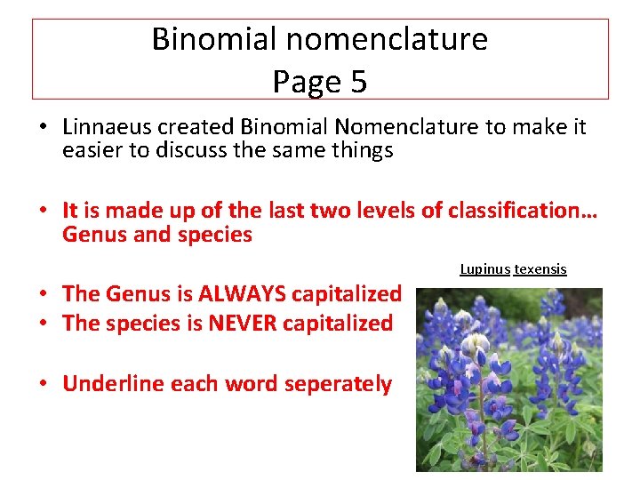 Binomial nomenclature Page 5 • Linnaeus created Binomial Nomenclature to make it easier to
