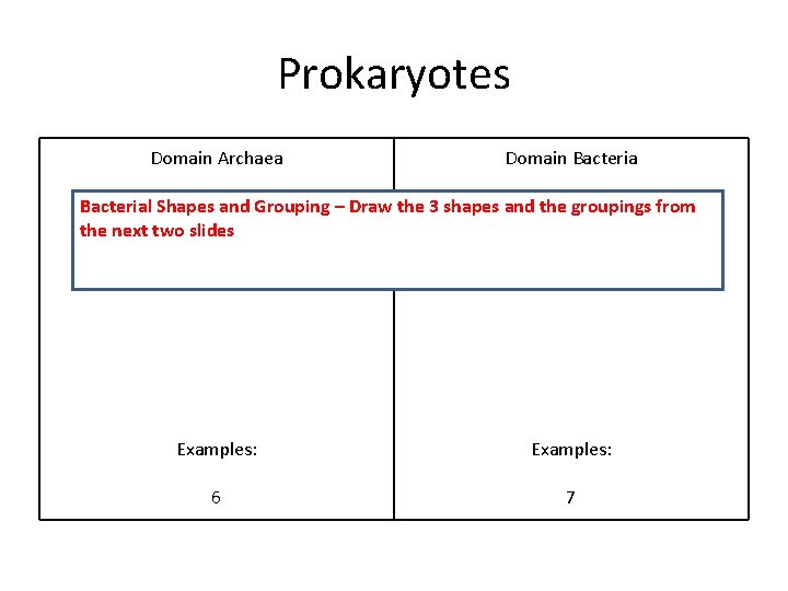Prokaryotes Domain Archaea Domain Bacterial Shapes and Grouping – Draw the 3 shapes and