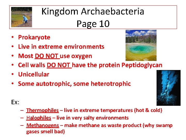 Kingdom Archaebacteria Page 10 • • • Prokaryote Live in extreme environments Most DO