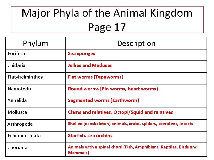 Major Phyla of the Animal Kingdom Page 17 Phylum Description Porifera Sea sponges Cnidaria