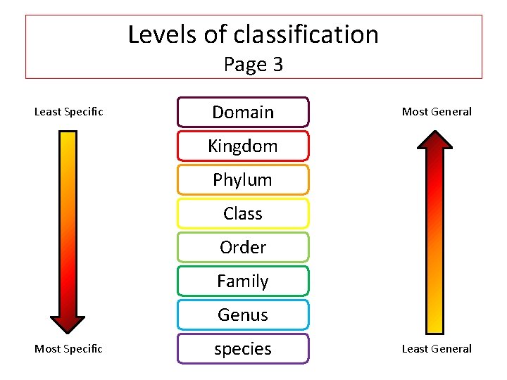 Levels of classification Page 3 Least Specific Domain Most General Kingdom Phylum Class Order