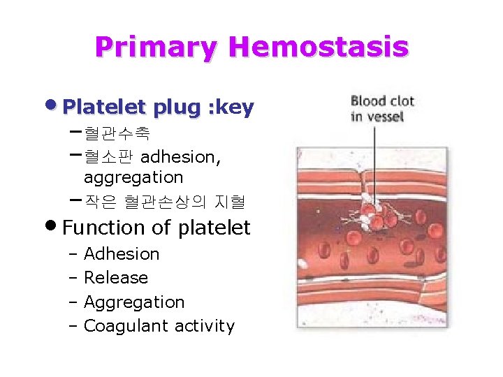Primary Hemostasis • Platelet plug : key : –혈관수축 –혈소판 adhesion, aggregation –작은 혈관손상의
