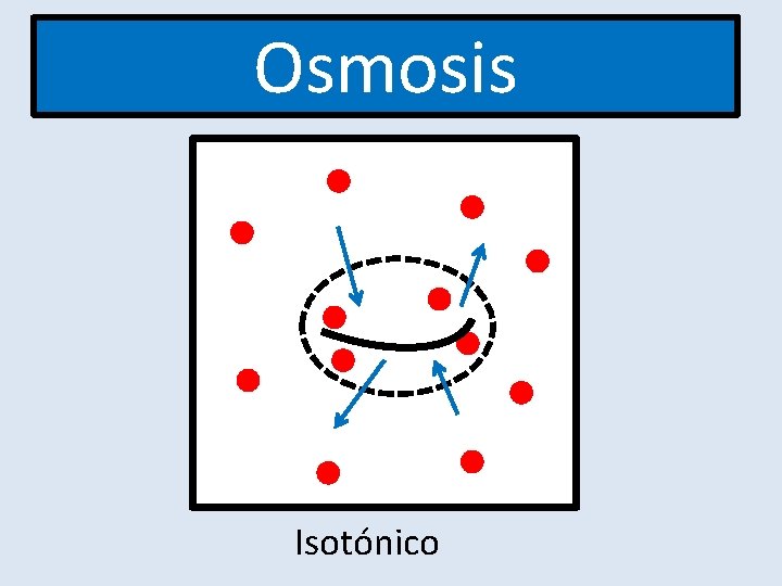 Osmosis Isotónico 