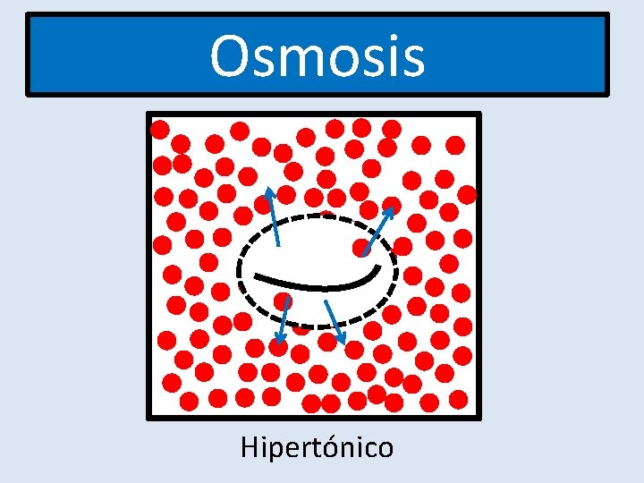 Osmosis Hipertónico 