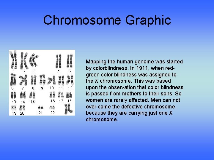 Chromosome Graphic Mapping the human genome was started by colorblindness. In 1911, when redgreen