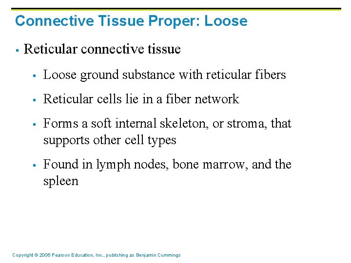 Connective Tissue Proper: Loose § Reticular connective tissue § Loose ground substance with reticular
