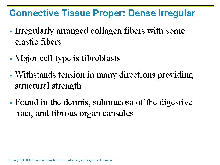 Connective Tissue Proper: Dense Irregular § § Irregularly arranged collagen fibers with some elastic