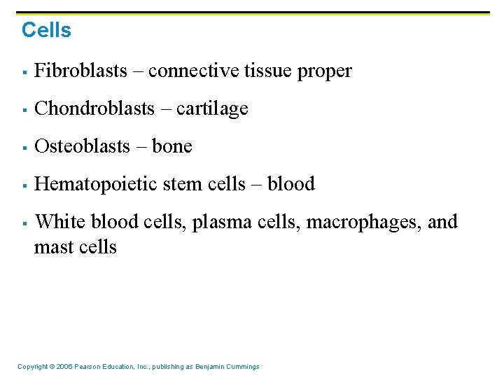 Cells § Fibroblasts – connective tissue proper § Chondroblasts – cartilage § Osteoblasts –