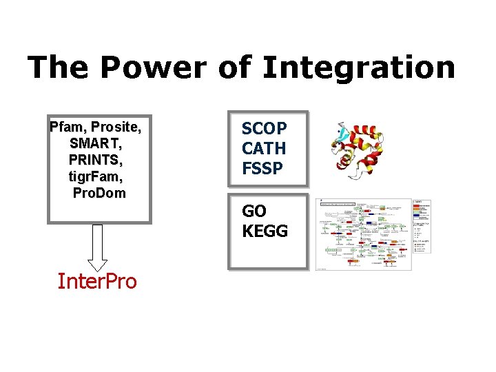 The Power of Integration Pfam, Prosite, SMART, PRINTS, tigr. Fam, Pro. Dom Inter. Pro