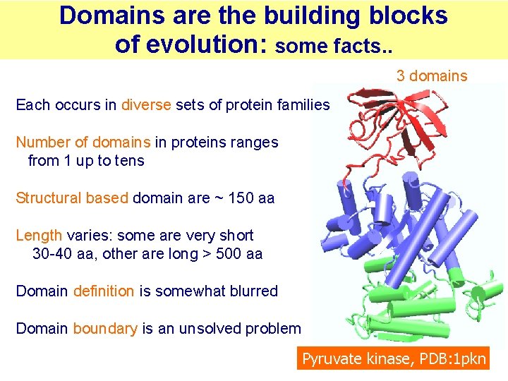 Domains are the building blocks of evolution: some facts. . 3 domains Each occurs