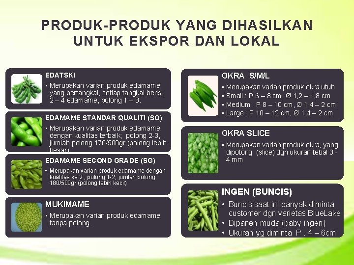 PRODUK-PRODUK YANG DIHASILKAN UNTUK EKSPOR DAN LOKAL EDATSKI OKRA S/M/L • Merupakan varian produk