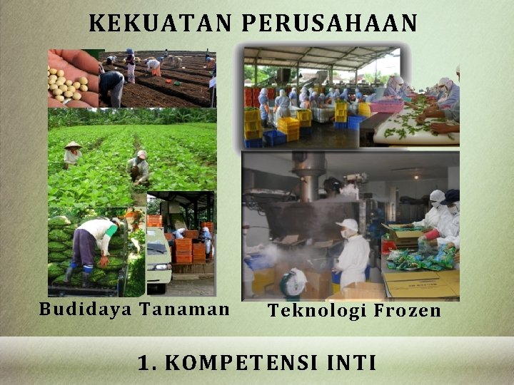 KEKUATAN PERUSAHAAN Budidaya Tanaman Teknologi Frozen 1. KOMPETENSI INTI 