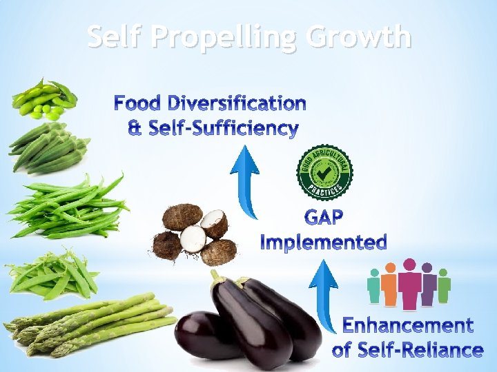 Self Propelling Growth 