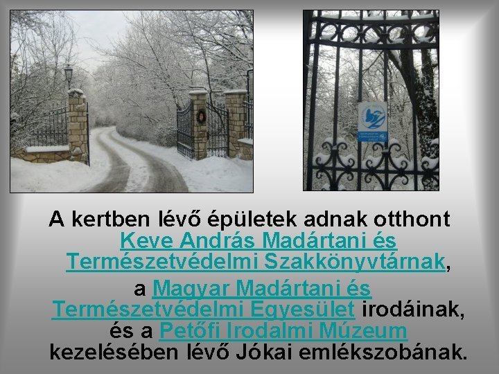 A kertben lévő épületek adnak otthont Keve András Madártani és Természetvédelmi Szakkönyvtárnak, a Magyar