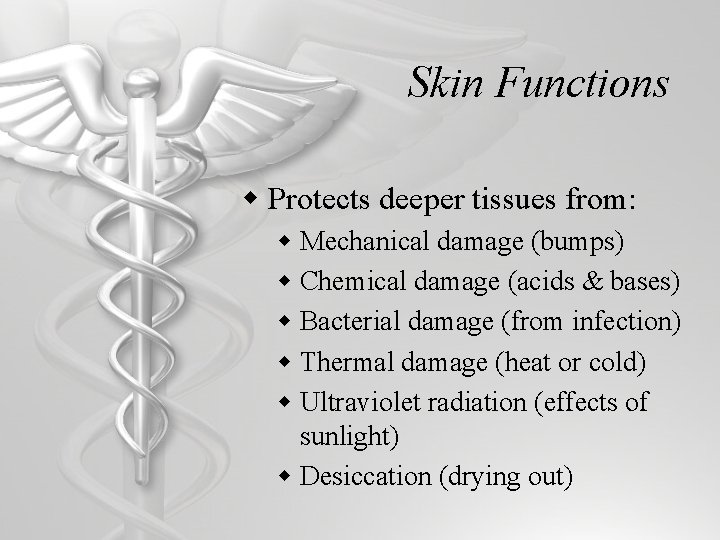 Skin Functions w Protects deeper tissues from: w Mechanical damage (bumps) w Chemical damage
