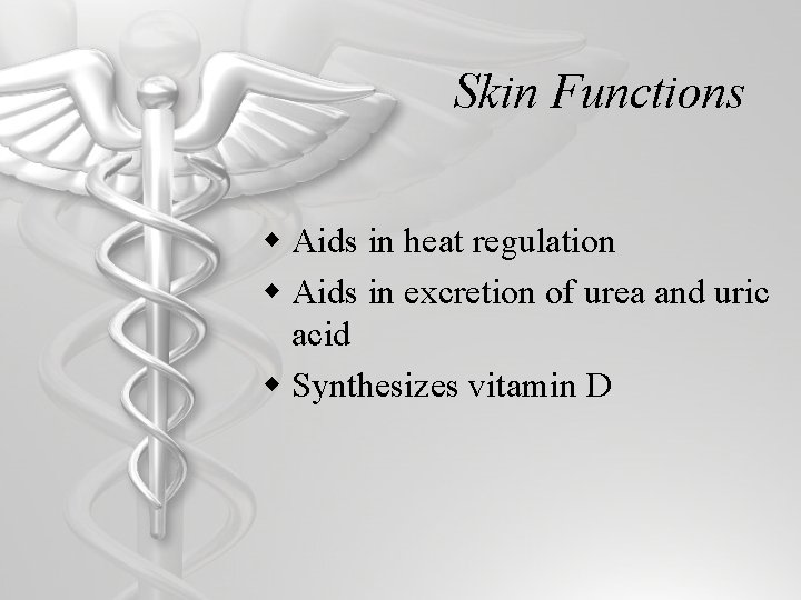 Skin Functions w Aids in heat regulation w Aids in excretion of urea and