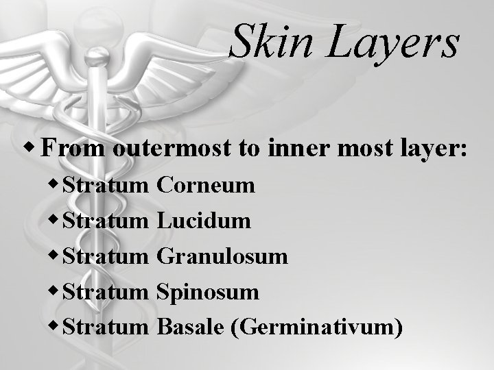 Skin Layers w From outermost to inner most layer: w Stratum Corneum w Stratum