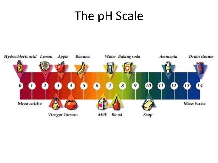 The p. H Scale 