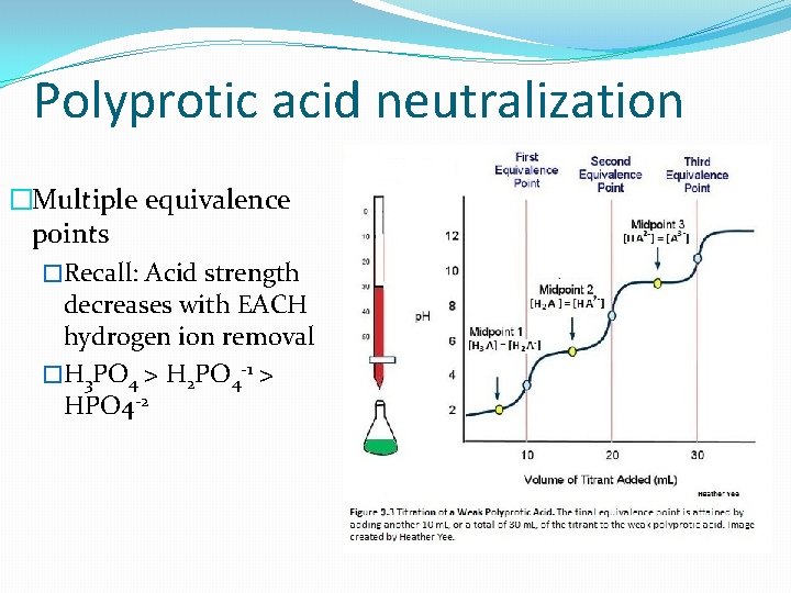 Polyprotic acid neutralization �Multiple equivalence points �Recall: Acid strength decreases with EACH hydrogen ion