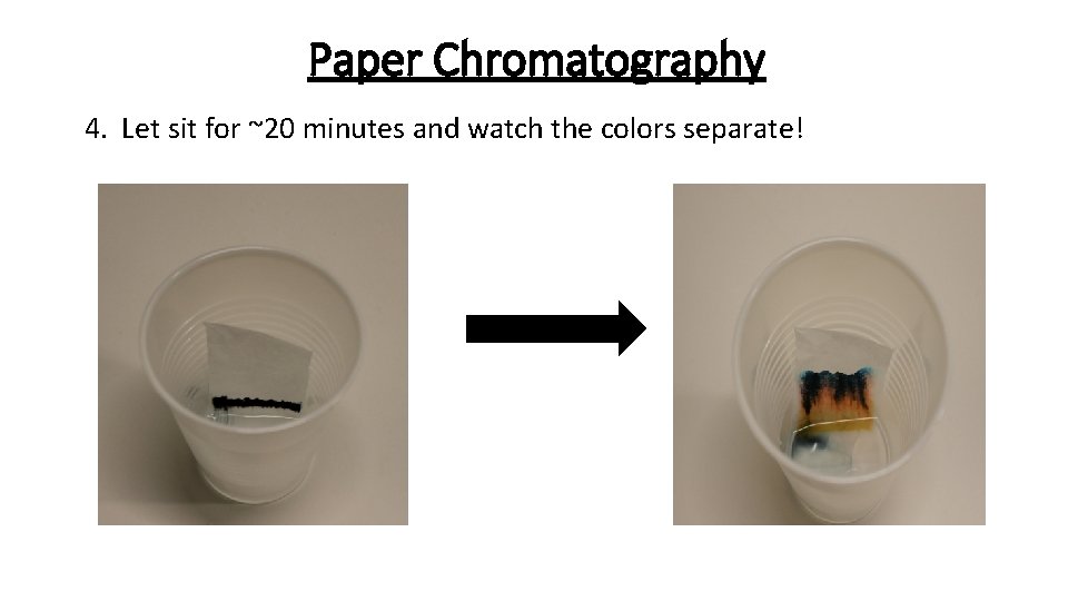 Paper Chromatography 4. Let sit for ~20 minutes and watch the colors separate! 