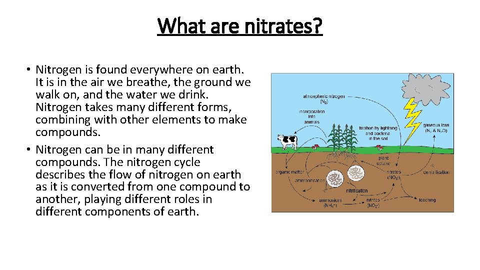 What are nitrates? • Nitrogen is found everywhere on earth. It is in the