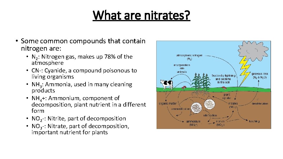 What are nitrates? • Some common compounds that contain nitrogen are: • N 2:
